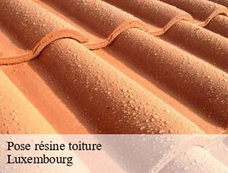 Pose résine toiture LU Luxembourg  Multi services peinture et nettoyage 