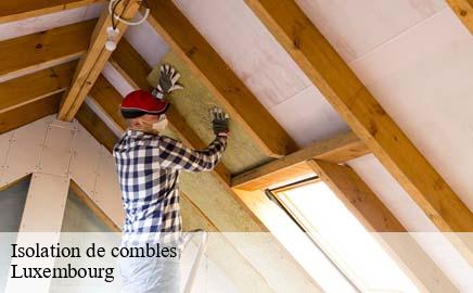 Isolation de combles LU Luxembourg Multi services peinture et nettoyage