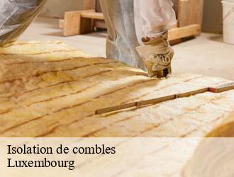 Isolation de combles LU Luxembourg  Multi services peinture et nettoyage 