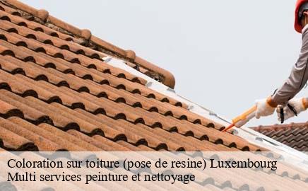 Coloration sur toiture (pose de resine) LU Luxembourg Multi services peinture et nettoyage