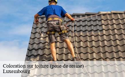 Coloration sur toiture (pose de resine) LU Luxembourg Multi services peinture et nettoyage