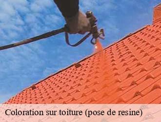 Coloration sur toiture (pose de resine) LU Luxembourg  Multi services peinture et nettoyage