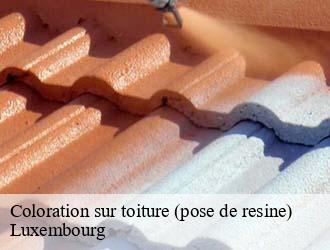 Coloration sur toiture (pose de resine) LU Luxembourg  Multi services peinture et nettoyage