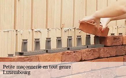 Petite maçonnerie en tout genre LU Luxembourg Multi services peinture et nettoyage