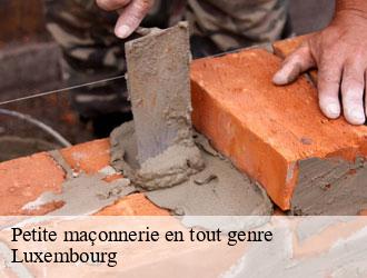 Petite maçonnerie en tout genre LU Luxembourg  Multi services peinture et nettoyage 