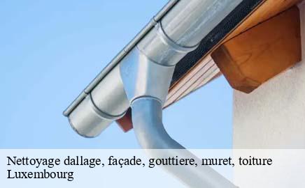 Nettoyage dallage, façade, gouttiere, muret, toiture LU Luxembourg  Multi services peinture et nettoyage 