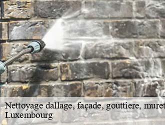 Nettoyage dallage, façade, gouttiere, muret, toiture LU Luxembourg  Multi services peinture et nettoyage 
