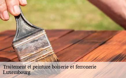 Traitement et peinture boiserie et ferronerie  LU Luxembourg  Multi services peinture et nettoyage 
