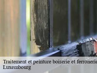 Traitement et peinture boiserie et ferronerie  LU Luxembourg  Multi services peinture et nettoyage 