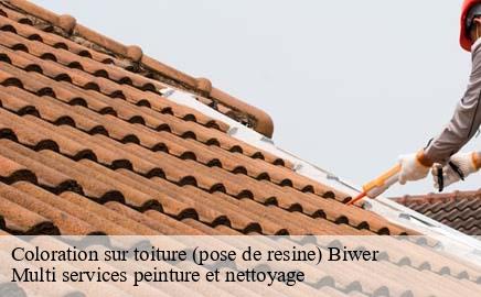 Coloration sur toiture (pose de resine)  biwer- Multi services peinture et nettoyage 