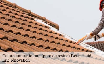 Coloration sur toiture (pose de resine) bourscheid- Eric rénovation