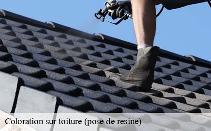 Coloration sur toiture (pose de resine) bourscheid- Eric rénovation