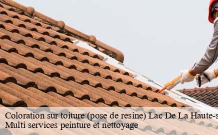 Coloration sur toiture (pose de resine)  lac-de-la-haute-sure- Multi services peinture et nettoyage 