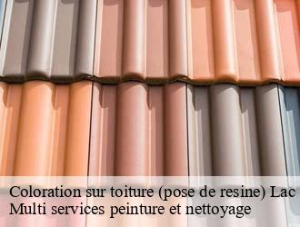 Coloration sur toiture (pose de resine)  lac-de-la-haute-sure- Multi services peinture et nettoyage 