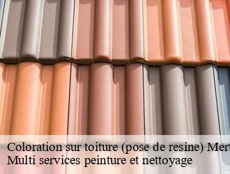 Coloration sur toiture (pose de resine)  mertert- Multi services peinture et nettoyage 