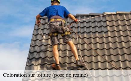 Coloration sur toiture (pose de resine)  putscheid- Eric rénovation 