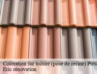 Coloration sur toiture (pose de resine)  putscheid- Eric rénovation 