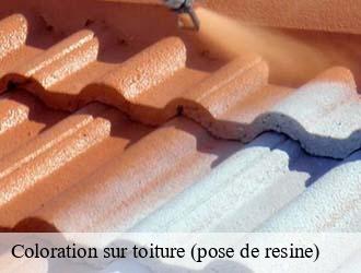 Coloration sur toiture (pose de resine)  putscheid- Eric rénovation 