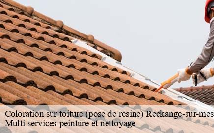 Coloration sur toiture (pose de resine) reckange-sur-mess- Multi services peinture et nettoyage