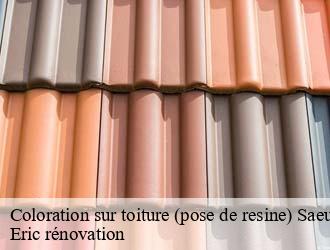 Coloration sur toiture (pose de resine)  saeul- Eric rénovation 