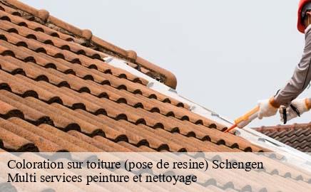 Coloration sur toiture (pose de resine) schengen- Multi services peinture et nettoyage