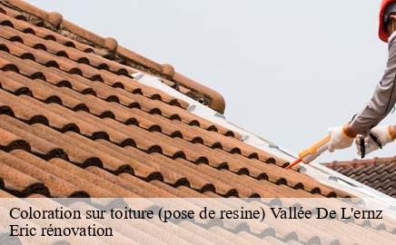 Coloration sur toiture (pose de resine) vallee-de-l-ernz- Eric rénovation