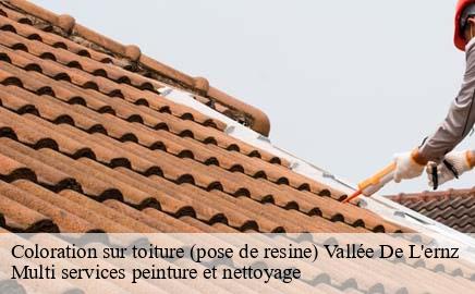 Coloration sur toiture (pose de resine) vallee-de-l-ernz- Multi services peinture et nettoyage