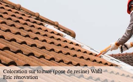 Coloration sur toiture (pose de resine) wahl- Eric rénovation
