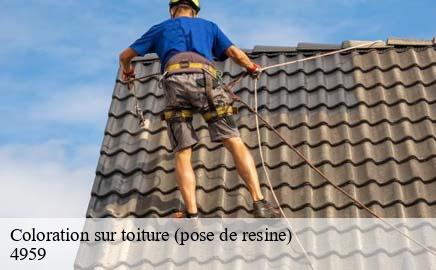 Coloration sur toiture (pose de resine) bascharage-4959 Multi services peinture et nettoyage