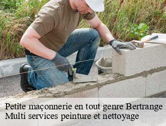 Petite maçonnerie en tout genre  bertrange- Multi services peinture et nettoyage 