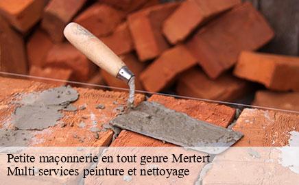 Petite maçonnerie en tout genre mertert- Multi services peinture et nettoyage