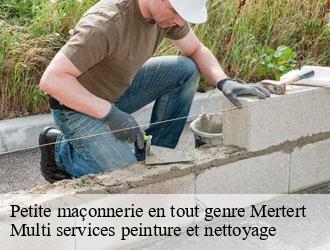 Petite maçonnerie en tout genre  mertert- Multi services peinture et nettoyage 