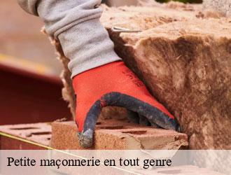Petite maçonnerie en tout genre putscheid- Multi services peinture et nettoyage