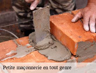 Petite maçonnerie en tout genre  saeul- Multi services peinture et nettoyage 