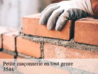 Petite maçonnerie en tout genre dudelange-3544 Eric rénovation
