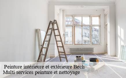  Peinture intérieure et extérieure  bech- Multi services peinture et nettoyage 