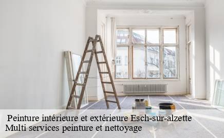 Peinture intérieure et extérieure esch-sur-alzette- Multi services peinture et nettoyage