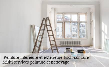 Peinture intérieure et extérieure esch-sur-sure- Multi services peinture et nettoyage