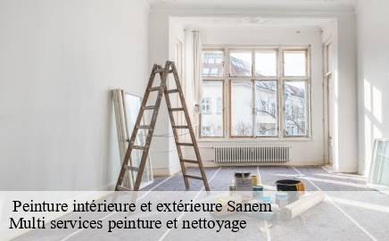  Peinture intérieure et extérieure  sanem- Multi services peinture et nettoyage 