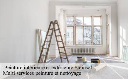 Peinture intérieure et extérieure steinsel- Multi services peinture et nettoyage