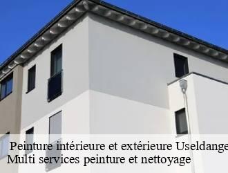  Peinture intérieure et extérieure  useldange- Multi services peinture et nettoyage 