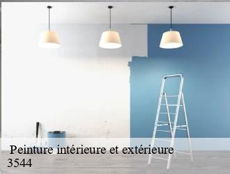  Peinture intérieure et extérieure  dudelange-3544 Multi services peinture et nettoyage 