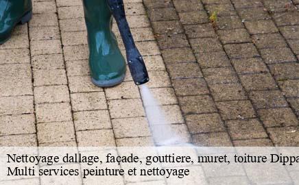 Nettoyage dallage, façade, gouttiere, muret, toiture  dippach- Multi services peinture et nettoyage 