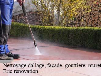 Nettoyage dallage, façade, gouttiere, muret, toiture flaxweiler- Eric rénovation