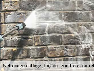 Nettoyage dallage, façade, gouttiere, muret, toiture garnich- Eric rénovation