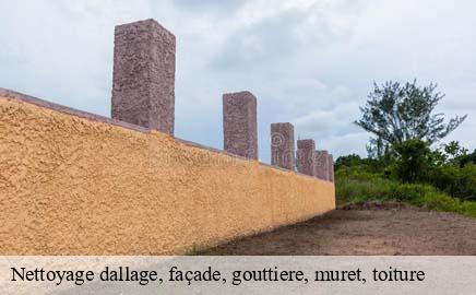 Nettoyage dallage, façade, gouttiere, muret, toiture  nommern- Eric rénovation 