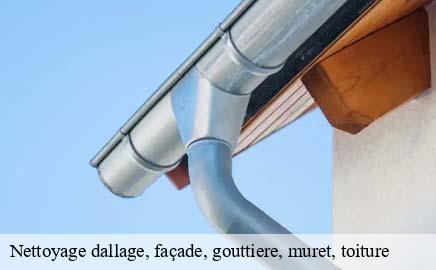 Nettoyage dallage, façade, gouttiere, muret, toiture rambrouch- Eric rénovation
