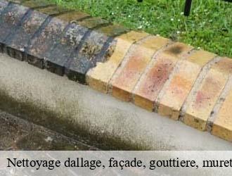 Nettoyage dallage, façade, gouttiere, muret, toiture  rambrouch- Eric rénovation 