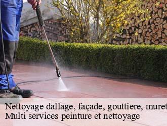 Nettoyage dallage, façade, gouttiere, muret, toiture  strassen- Multi services peinture et nettoyage 