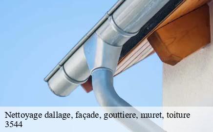 Nettoyage dallage, façade, gouttiere, muret, toiture  dudelange-3544 Multi services peinture et nettoyage 